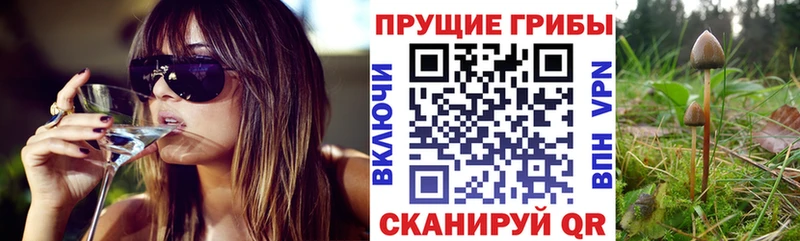 Псилоцибиновые грибы прущие грибы  Выкса 